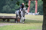 WJ7_9446