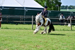 SBM_09411