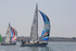 190629 ALLEGRO GBR7502 D43A2108