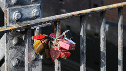 recent images portfolio