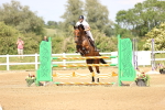 SBM_004996