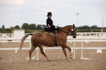 SBM_05529