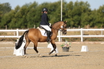 SBM_012611