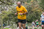 Dovedale Dash-1004