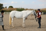 SBM_08611