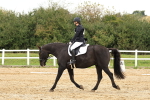 SBM_002878