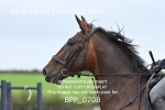 BPP_0708
