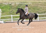 BPP_4515