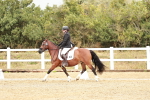 SBM_002751