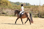 SBM_010631