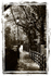 Chester City Walls by Cathedral sepia Butcher