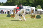 SBM_17179