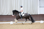 SBM_008415