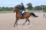 BPP_1642
