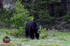 3HPhotography5-20-25_GTNP_387_