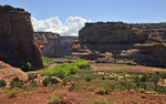 Canyon-10