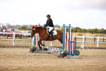 SBM_006433