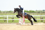 SBM_009379