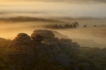 Atmospheric Bellever Tor