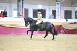 SBM_09009
