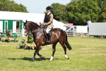 SBM_18391