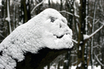 Snow Grump