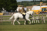 SBM_10244