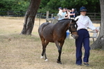 WJ6_7964