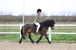 SBM_006739