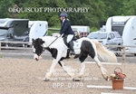 BPP_0279