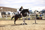 SBM_003653