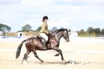 SBM_15797