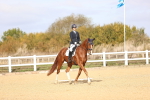 SBM_009600