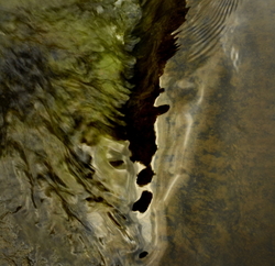 Freshwater 2 portfolio