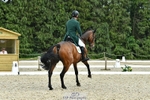 421-POMP_N_CIRCUMSTANCE-Padraig_Mccarthy-DR portfolio
