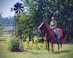 Haleys Horse_021