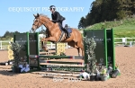 BPP_1907