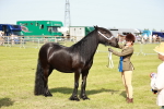 SBM_00904