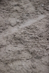 SBM_004284