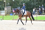 045-HILDARE.REGARDE.MOI-Danielle.Mccormack-DR portfolio