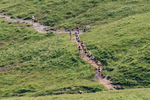 Wasdale-174