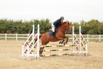 SBM_008368