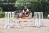 BPP_3990