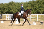 SBM_008463