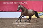 JAC_4660