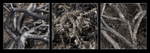 Natural Structures Tryptic 3