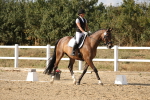 SBM_015795