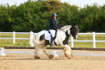 SBM_006977