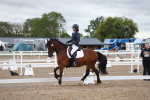 SBM_00461