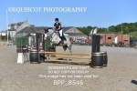 BPP_8546